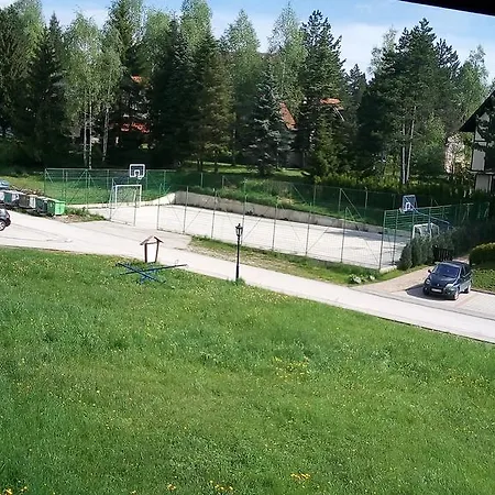 Goran * 즐라티보